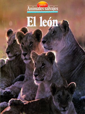cover image of El león